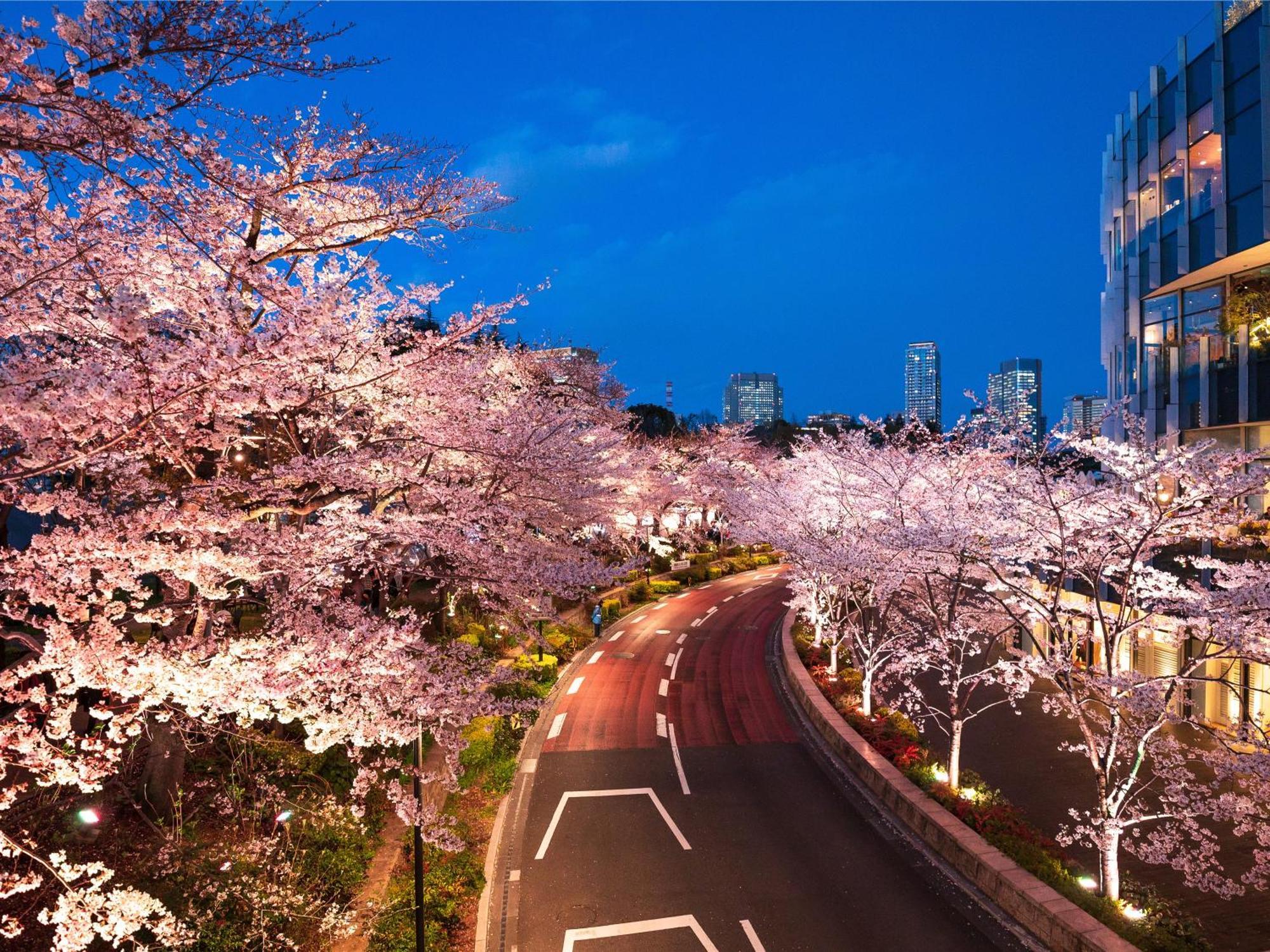 Mimaru Tokyo Akasaka Hotell Eksteriør bilde